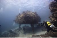 Photo Reference of Shipwreck Sudan Undersea 0031